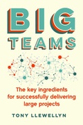 Cover: Big Teams - Practical Inspiration Publishing