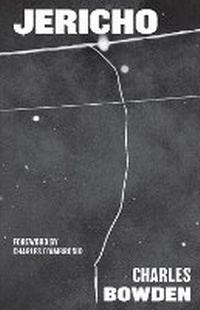 Enlarge image Cover: Jericho - University of Texas Press