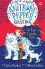 Cover: The Last Circus Tiger - Usborne Publishing Ltd