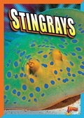 Cover: Stingrays - Black Rabbit Books