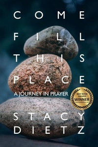 Enlarge image Cover: Come Fill This Place - Stacy Dietz