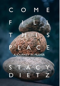 Enlarge image Cover: Come Fill This Place - Stacy Dietz