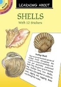 Cover: Learning About Shells - Dover Publications Inc.
