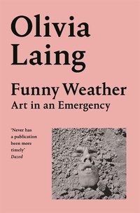 Abbildung von: Funny Weather - Picador