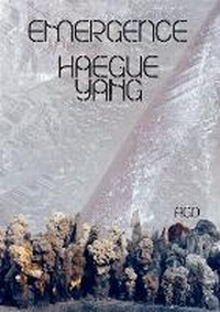 Enlarge image Cover: Haegue Yang: Emergence - Prestel