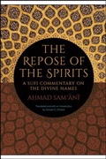 Cover: The Repose of the Spirits - De Gruyter