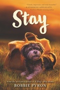 Cover: Stay - Collins
