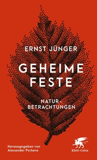 Abbildung von: Geheime Feste - Klett-Cotta