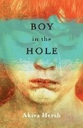 Cover: Boy in the Hole - Bookbaby