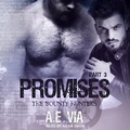 Cover: Promises - Tantor Audio