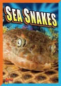 Cover: Sea Snakes - Bolt!