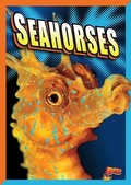 Cover: Seahorses - Bolt!