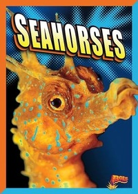 Enlarge image Cover: Seahorses - Bolt!