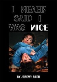Enlarge image Cover: I Never Said I Was Nice - Morbid Books