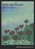 Cover: Into the Ruins - Figuration Press