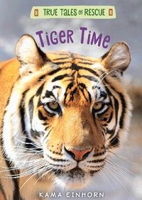 Enlarge image Cover: Tiger Time - Clarion Books