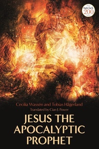 Enlarge image Cover: Jesus the Apocalyptic Prophet - T.& T.Clark Ltd