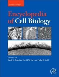 Abbildung von: Encyclopedia of Cell Biology- - Academic Press