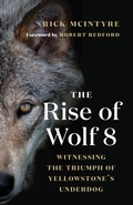 Cover: The Rise of Wolf 8 - Greystone Books