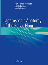 Abbildung von: Laparoscopic Anatomy of the Pelvic Floor - Springer