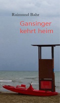 Cover: Gansinger kehrt heim - Edition Art & Science