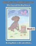 Cover: Marley and the Big Storm - Believing His Word Ministries