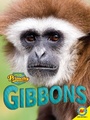Cover: Gibbons - Weigl Publishers Inc.