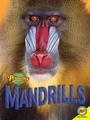 Cover: Mandrills - Weigl Publishers Inc.
