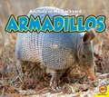Cover: Armadillos - Weigl Publishers Inc.