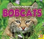 Cover: Bobcats - Weigl Publishers Inc.