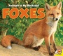 Cover: Foxes - Weigl Publishers Inc.