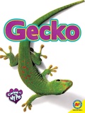 Cover: Gecko - Weigl Publishers Inc.