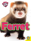 Cover: Ferret - Weigl Publishers Inc.