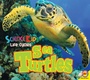 Cover: Sea Turtles - Weigl Publishers Inc.