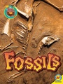 Cover: Fossils - Weigl Publishers Inc.