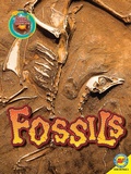 Cover: Fossils - Weigl Publishers Inc.