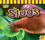 Cover: Slugs - Weigl Publishers Inc.