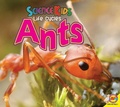 Cover: Ants - Av2