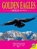 Cover: Golden Eagles: A Solo Journey - Weigl Publishers Inc.