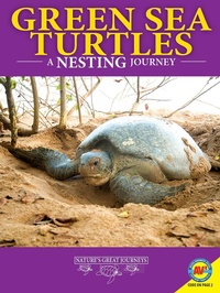 Abbildung von: Green Sea Turtles: A Nesting Journey - Weigl Publishers Inc.
