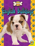 Cover: English Bulldogs - Weigl Publishers Inc.