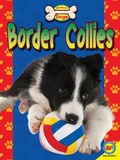 Cover: Border Collies - Weigl Publishers Inc.