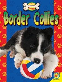 Enlarge image Cover: Border Collies - Weigl Publishers Inc.