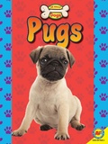 Cover: Pugs - Weigl Publishers Inc.
