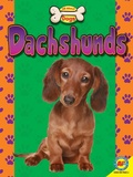 Cover: Dachshunds - Weigl Publishers Inc.