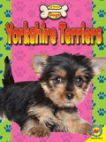 Cover: Yorkshire Terriers - Weigl Publishers Inc.