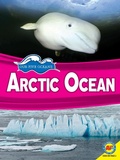 Cover: Arctic Ocean - Weigl Publishers Inc.