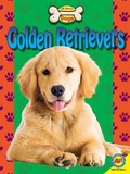 Cover: Golden Retrievers - Weigl Publishers Inc.