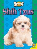 Cover: Shih Tzus - Weigl Publishers Inc.
