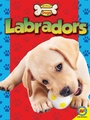 Cover: Labradors - Weigl Publishers Inc.